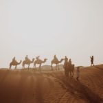 Travel to Madinah on Camel