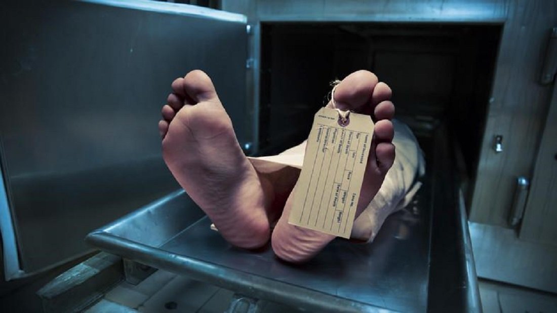 Shipment of Dead body