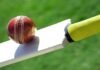 National Cricket Championship for Saudi Expats in 11 Cities of KSA