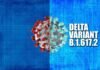 All You Need to Know About Delta Virus of Covid-19